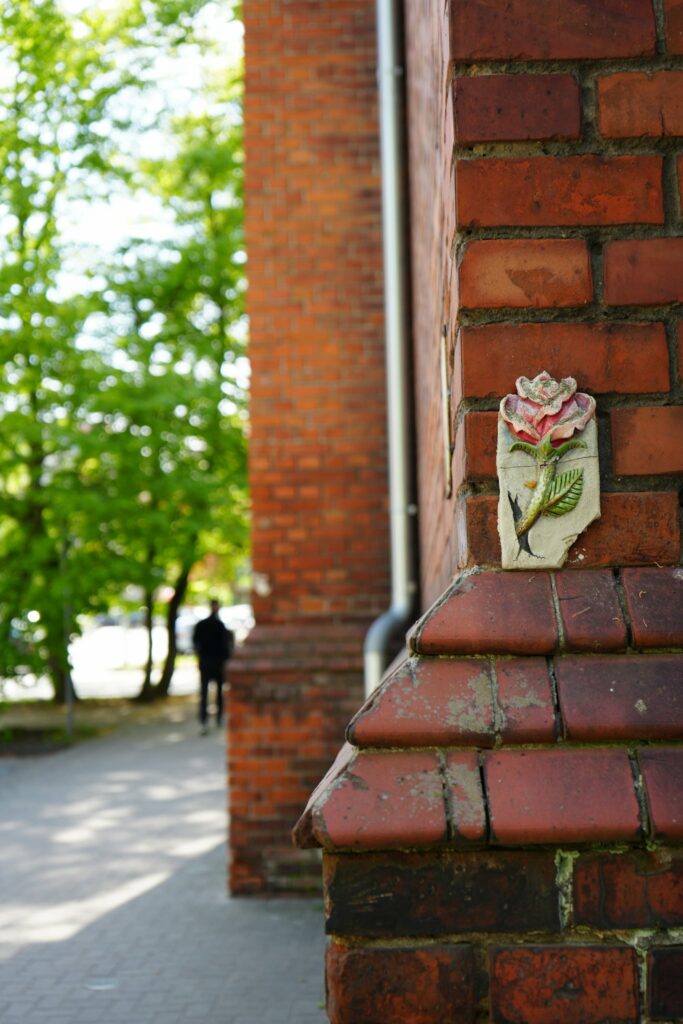 Zdjęcie autorstwa Moniki Pszczolińskiej 2